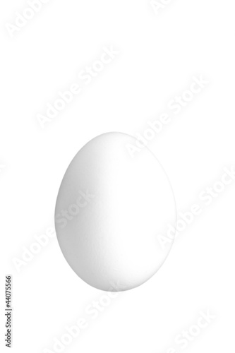 Photo: Weißes Ei Weißes Ei