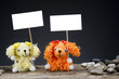 dolls dog holding a placard