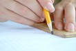 Women's hands are working with a pencil and ruler