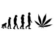 Evolution Kiffen/Gras