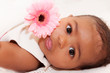 Mixed race baby with a pink flower