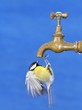Ni una gota de agua.