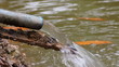Water flows
