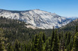 Yosemite national park in California