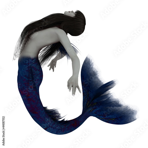 Illustration: 人魚 人魚
