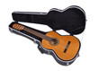 Gitarre und Box