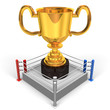 BigTrophyOnBoxingRingFrontView