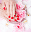 Red manicure with flowers