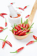 Chilies for Tabasco (Chili-Schoten für Tabasco)