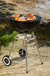 Grilling chicken