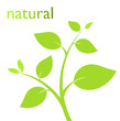 Green plant