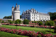 castello di Chenonceau valle della Loira