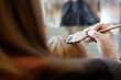 Hair Colour Application
