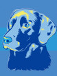 Vektor: Labrador Dog Pop Art Style Labrador Dog Pop Art Style