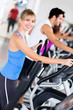 Gym people exercising