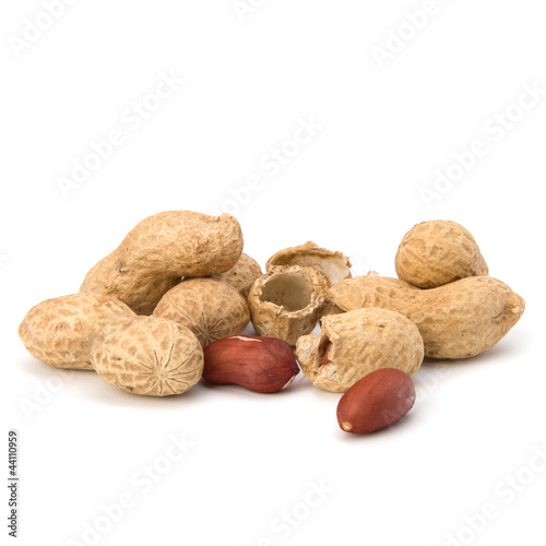 Photo: Peanut Peanut