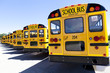 Yellow School Bus