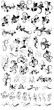 Vector: Flourish Designs Vectors Flourish Designs Vectors