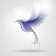 blue fantasy bird