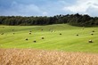 Thüringer Landschaft