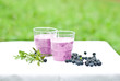 yogurt shake with blueberry