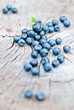 fresh blueberry