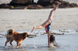 Mädchen macht Handstand neben ihrem Hund