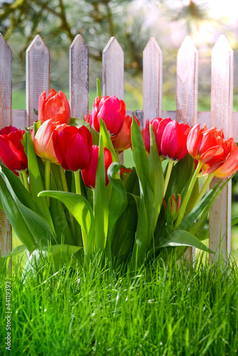 Photo: Frühling Frühling