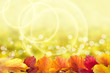 Beautiful autumn background with viburnum leaves