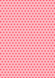 "亀甲花菱" a traditional Japanese pattern