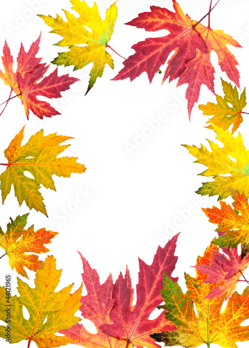 Foto: Goldener Herbst: Karte mit Rahmen aus bunten Blättern Goldener Herbst: Karte mit Rahmen aus bunten Blättern