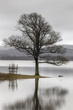 Photo: Bassenthwaite Lake Bassenthwaite Lake