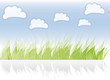 Wiese - rasen - himmel - wolke - frühling - sommer