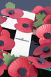 Poppy Day