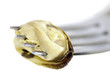 Photo: Muscle Fork Muscle Fork