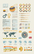 Detail infographic vector illustration.