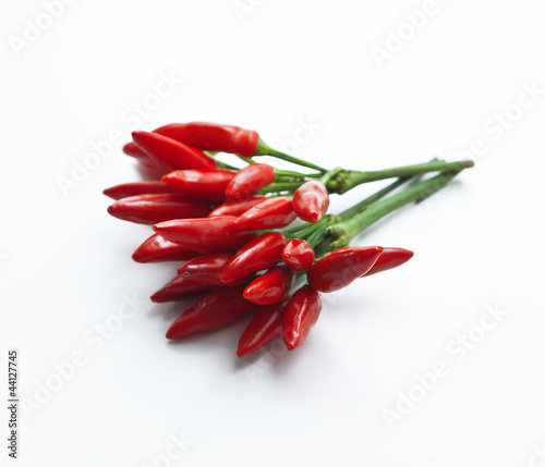 Photo: Peperoncino Piccolo Peperoncino Piccolo