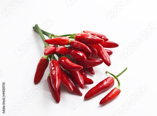 Photo: Peperoncino Peperoncino