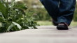 Vídeo: Baby first steps. Closeup shot, HD Baby first steps. Closeup shot, HD