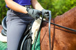 Dressage horse