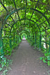 Green archway in a garden. Peterghof.St.Peterburg