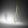 Hangman's knot