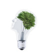 Head shaped bulb with a tree inside