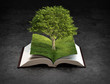 Open nature book