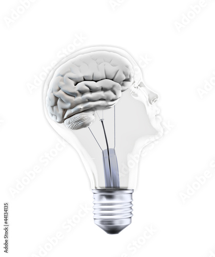 Illustration: Head shaped bulb Head shaped bulb