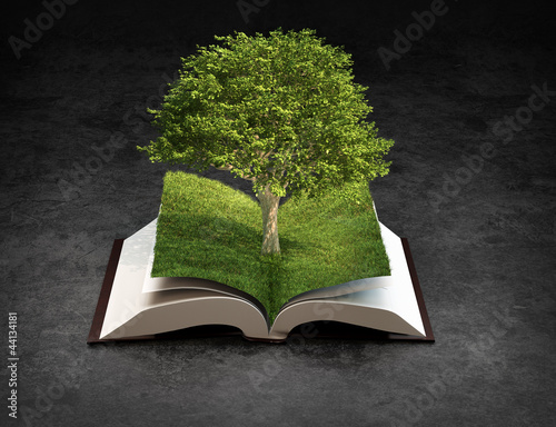 Illustration: Open nature book Open nature book