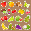 vector illustration of collection of various fresh fruit