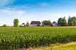 American Farmland