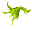 Isolated shot of green paint splash on white background
