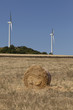 pale eoliche, energia eolica e rinnovabile